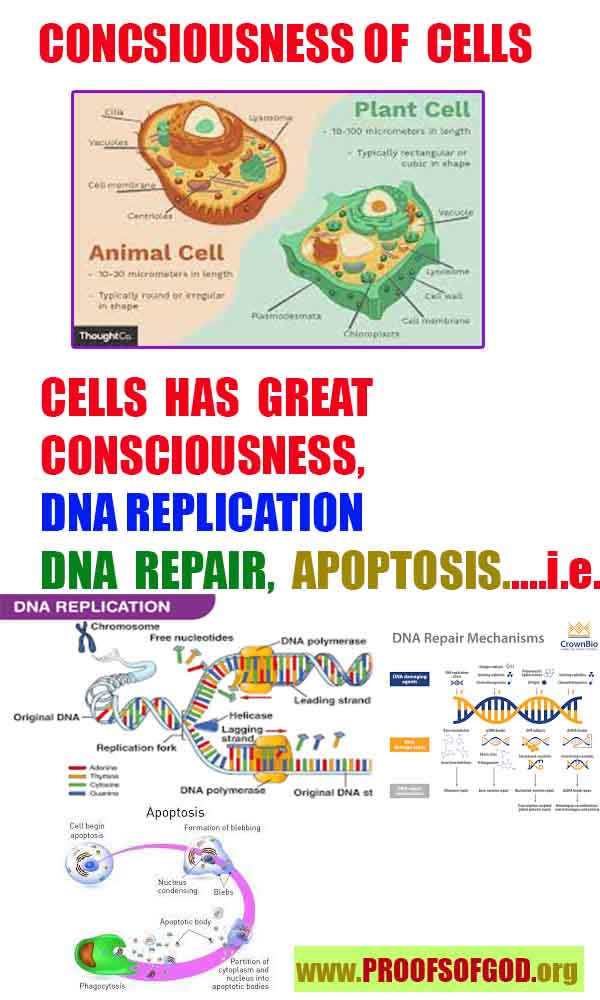 scientific proofs of god, proofs-god, evidences of god, evidences-god