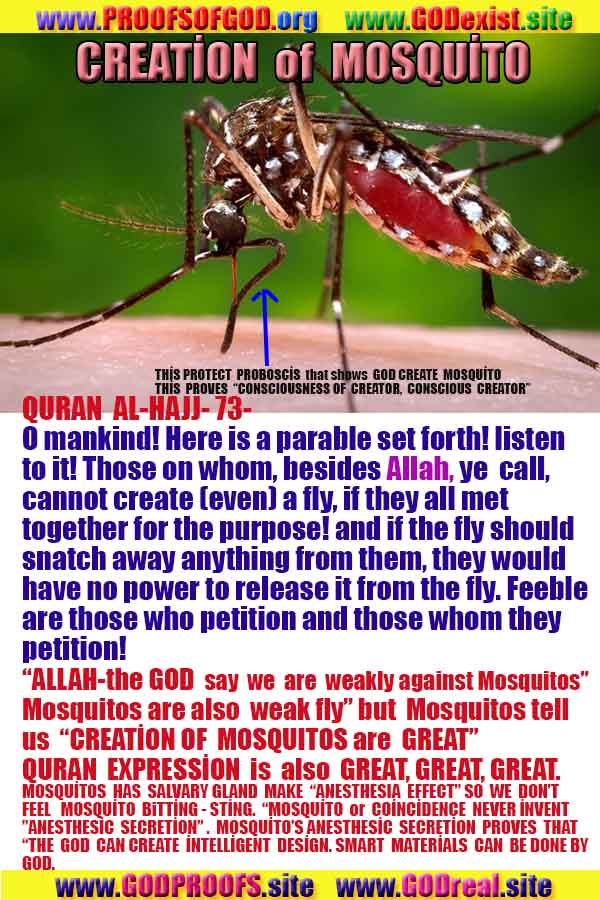 proofs of god, proofs-god, evidences of god, evidences-god, god exists, god is real, signs of god