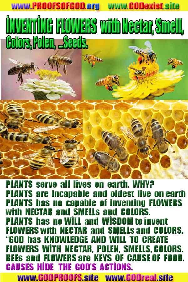 scientific proofs of god, proofs-god, evidences of god, evidences-god