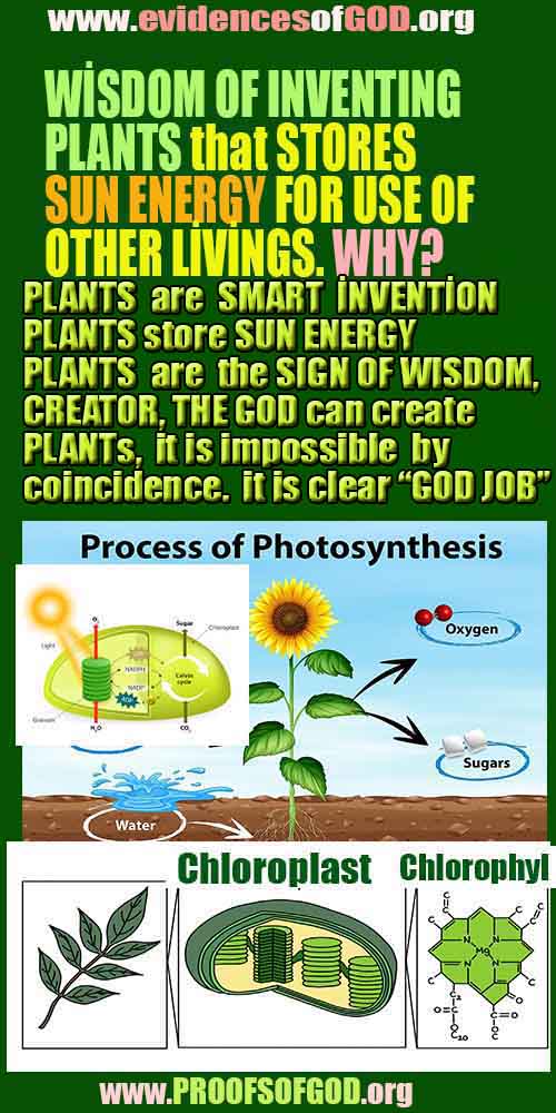 scientific proofs of god, proofs-god, evidences of god, evidences-god