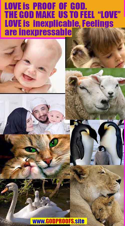 scientific proofs of god, proofs-god, evidences of god, evidences-god, god exists, god is real, signs of god